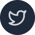 Twitter icon
